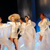 alternativ 2011 18